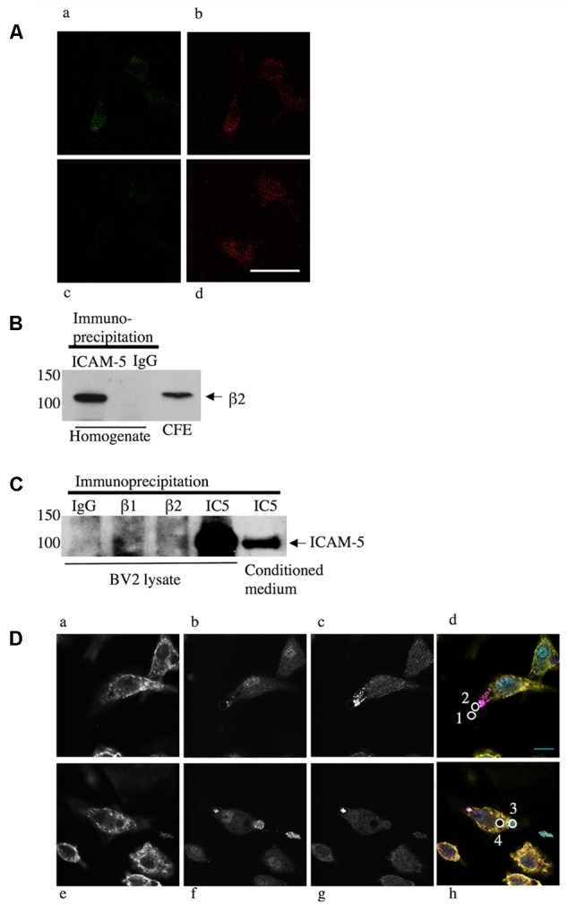 FIGURE 3