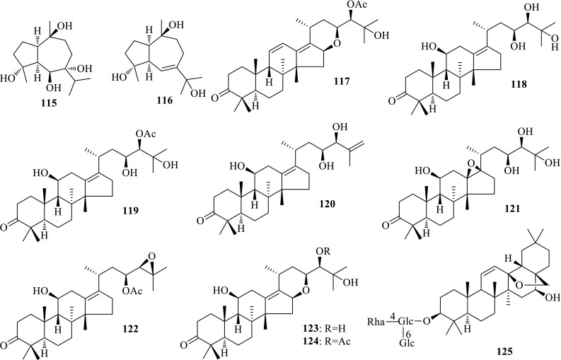 Fig. 7