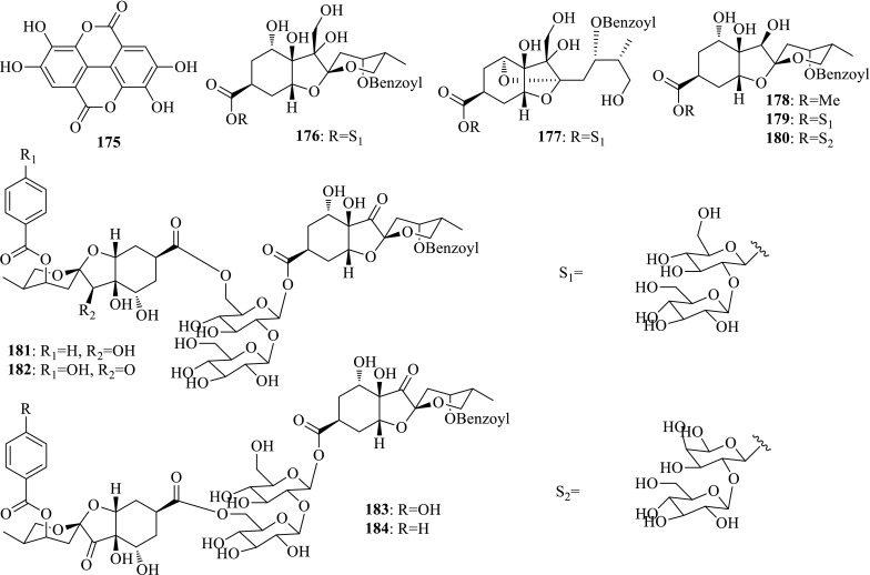 Fig. 12