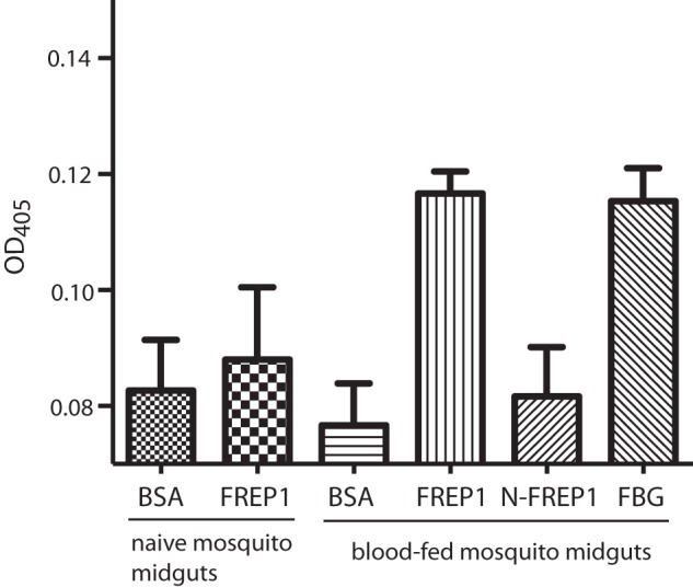 Figure 6.