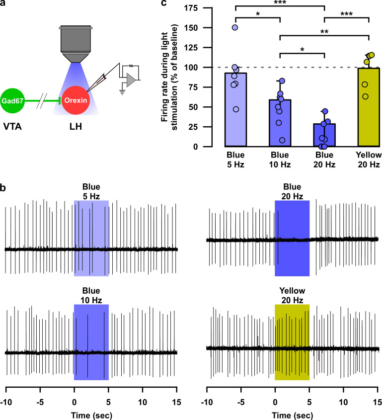 Figure 6—figure supplement 1.