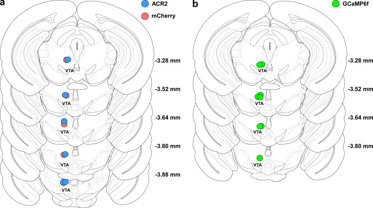 Figure 5—figure supplement 2.