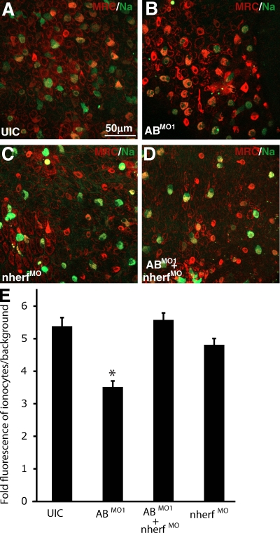 Figure 6.