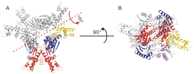 Figure 5