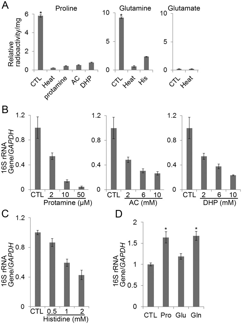 FIG 4 