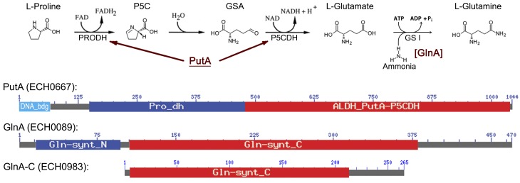 FIG 1 