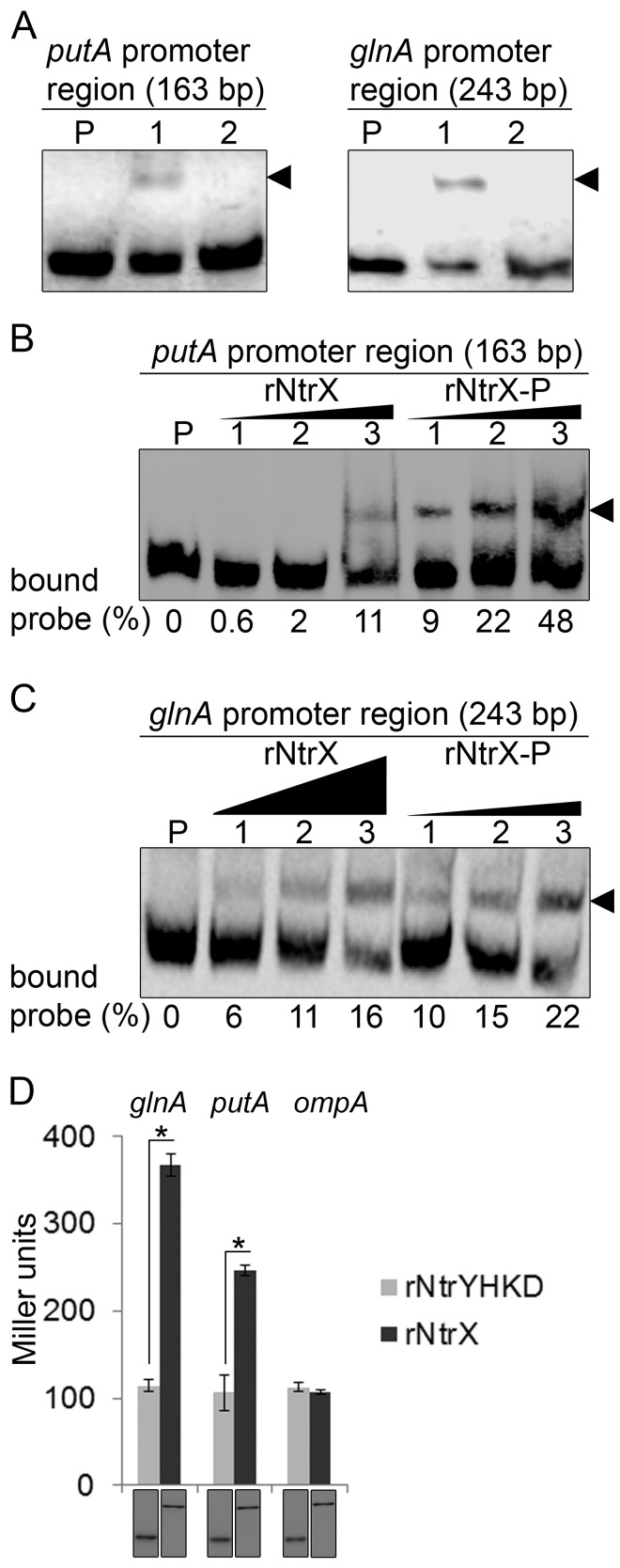 FIG 6 