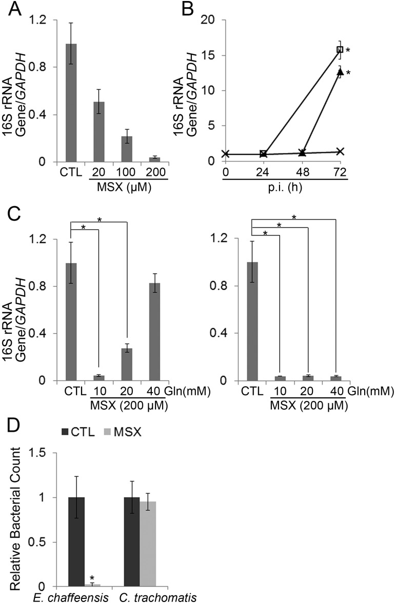 FIG 3 