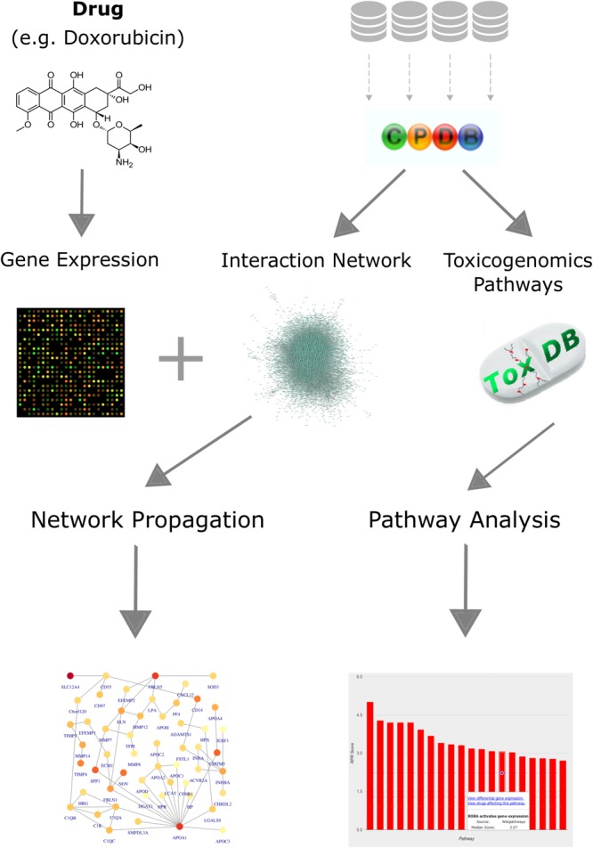 FIGURE 1