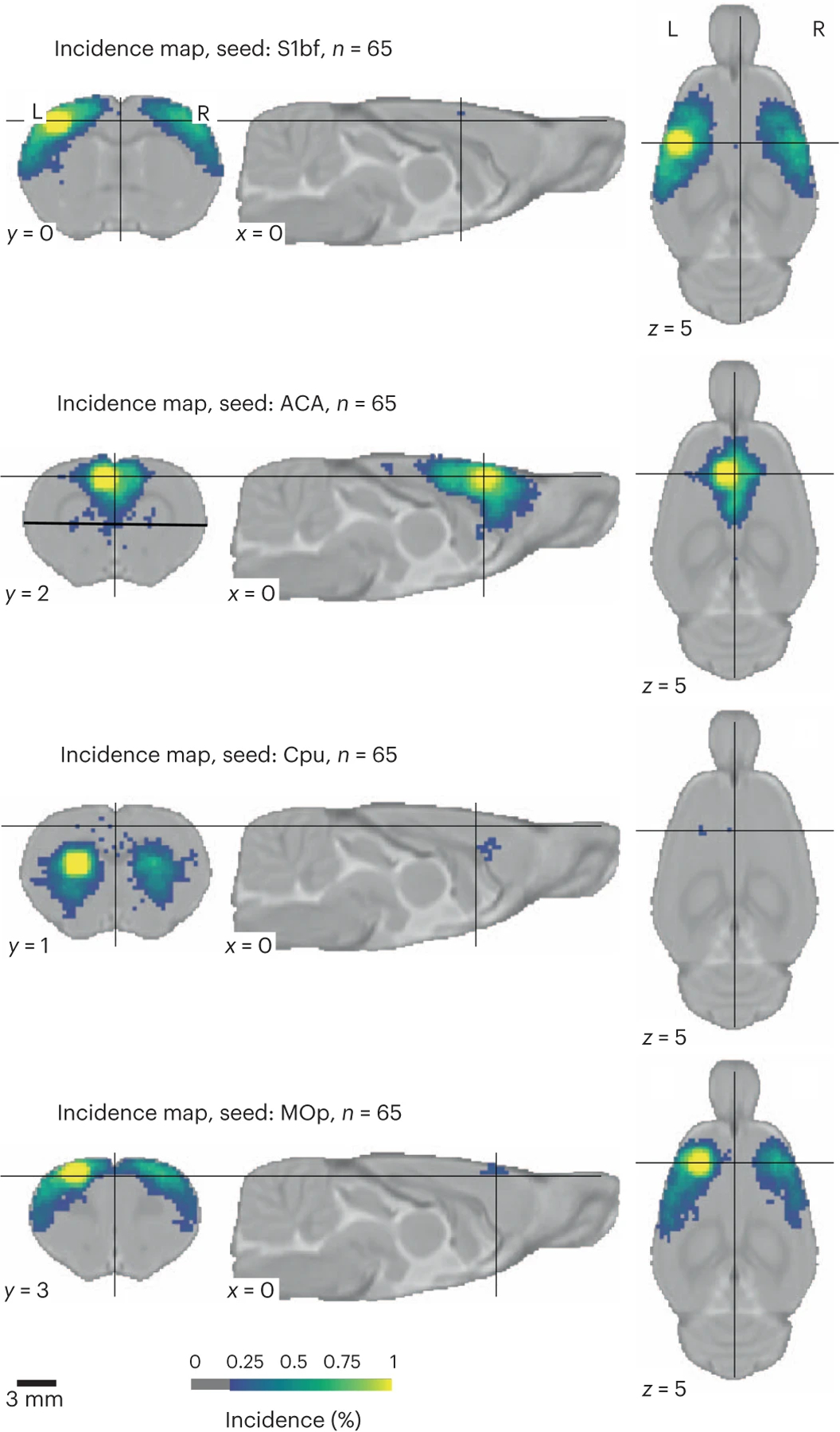 Fig. 3 |