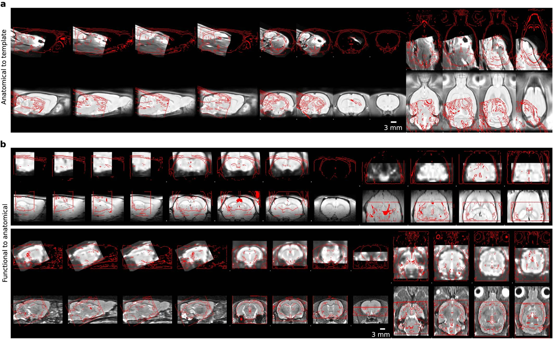 Extended Data Fig. 2 |