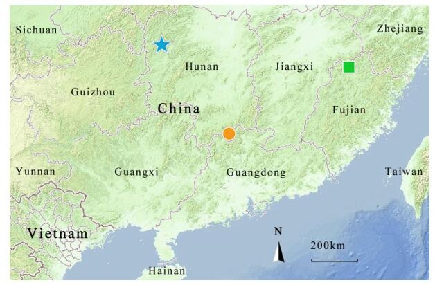 Star: Type locality of <italic>Opisthotropis zhaoermii</italic> <bold>sp. nov.</bold> (western Hunan); Circle: Type locality of <italic>O</italic>. <italic>cheni</italic> (southern Hunan); Square: Type locality of <italic>O</italic>. <italic>latouchii</italic> (northern Fujian).