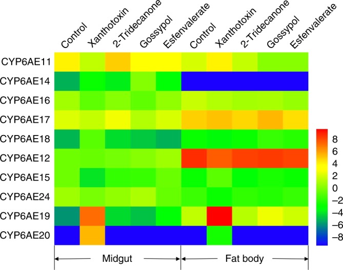 Fig. 4