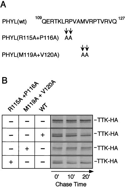 FIG. 8.