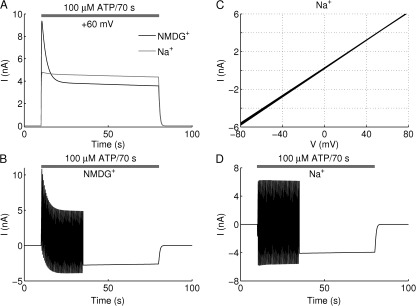 Figure 6.