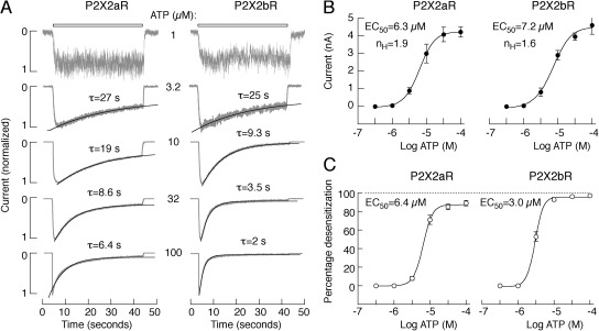 Figure 9.