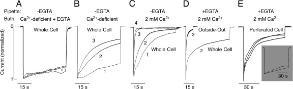 Figure 11.