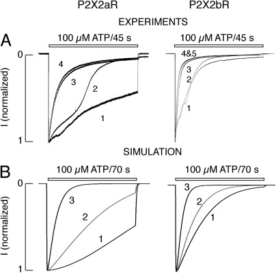 Figure 7.