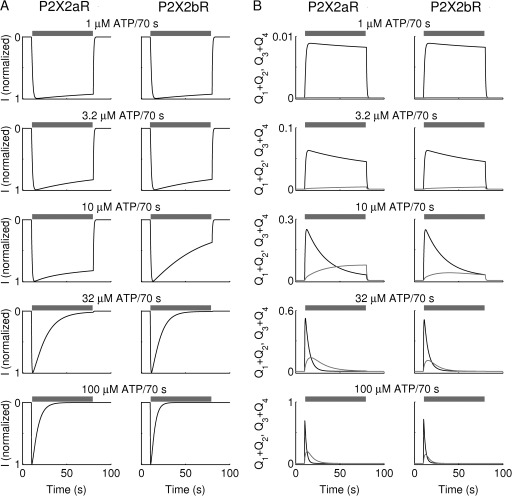 Figure 10.