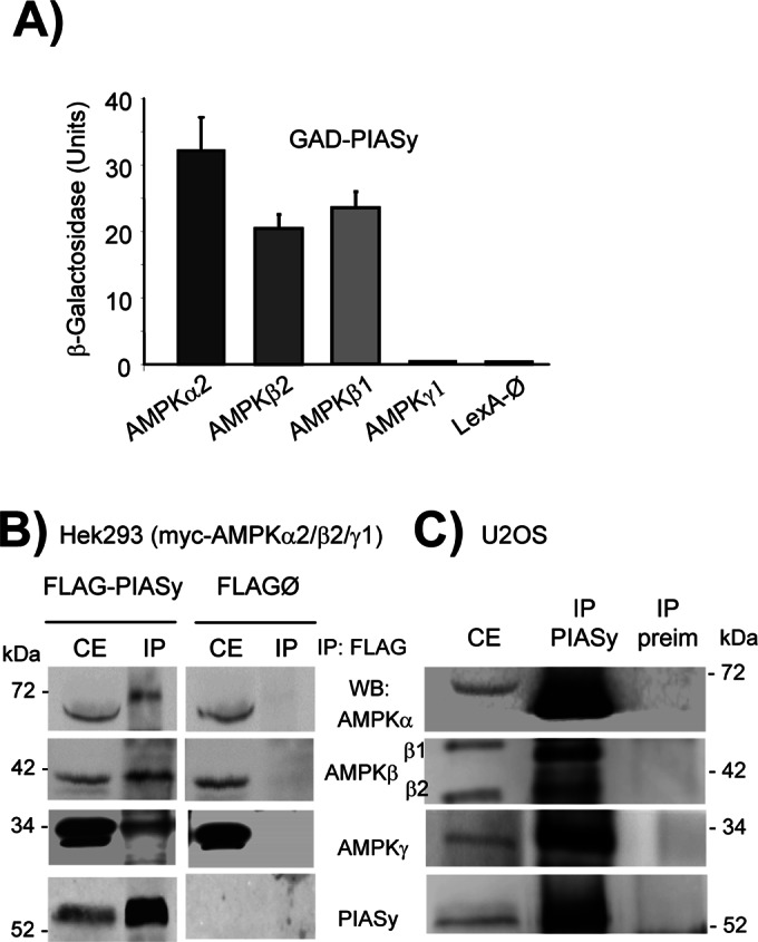 FIGURE 1: