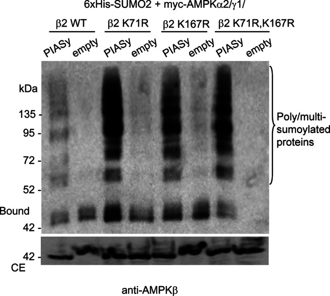 FIGURE 3: