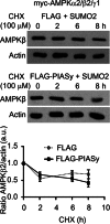 FIGURE 6: