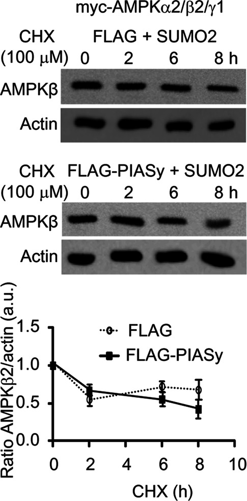 FIGURE 6: