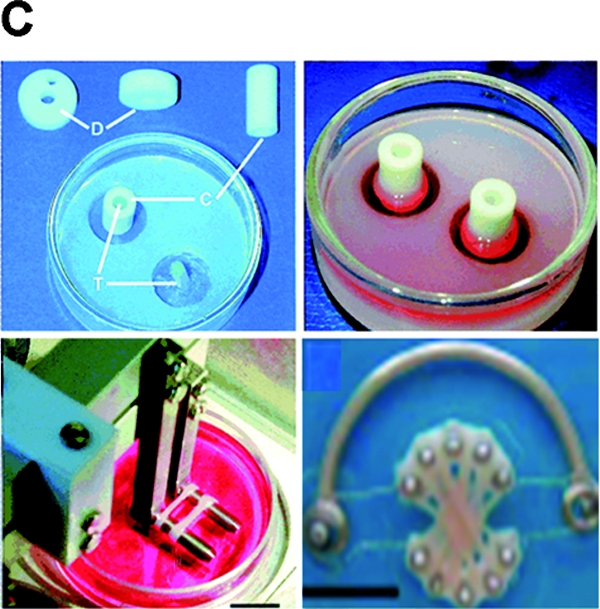 FIG. 6.