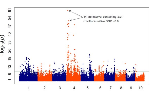 Figure 10