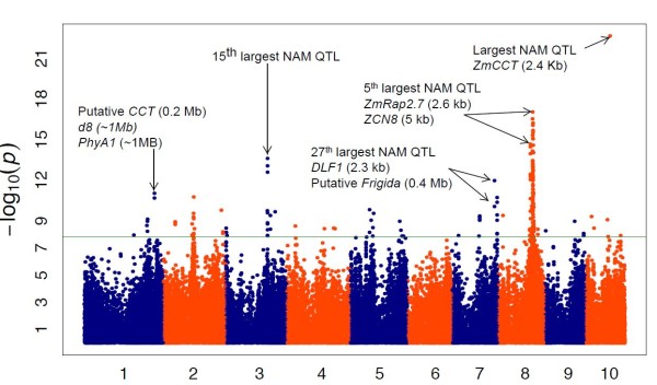 Figure 11