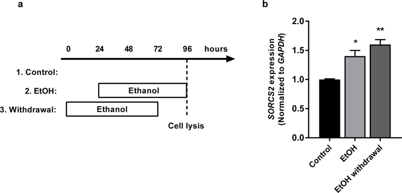 Figure 6: