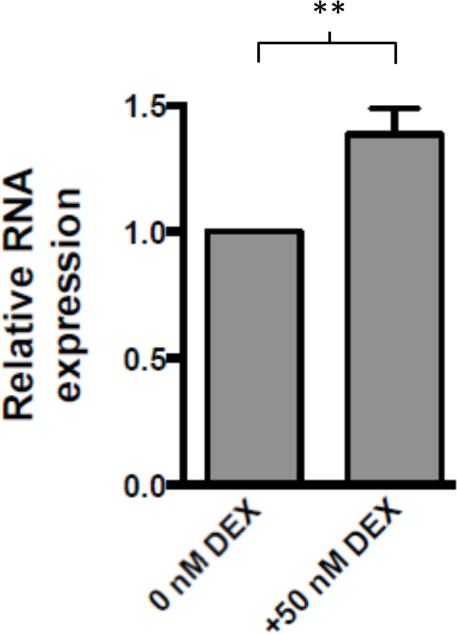 Figure 5: