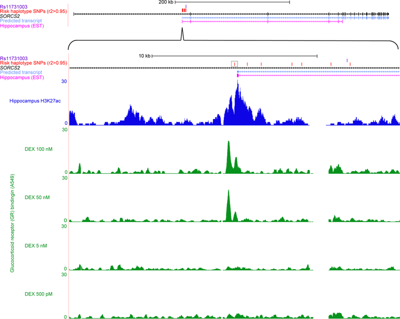 Figure 4: