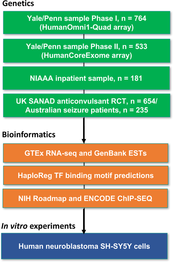 Figure 1: