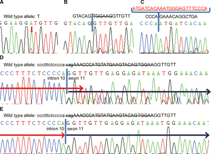 FIGURE 3