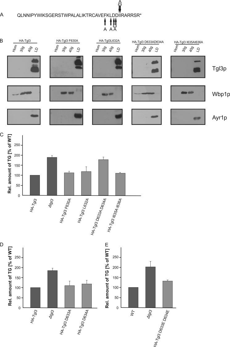 FIGURE 4.