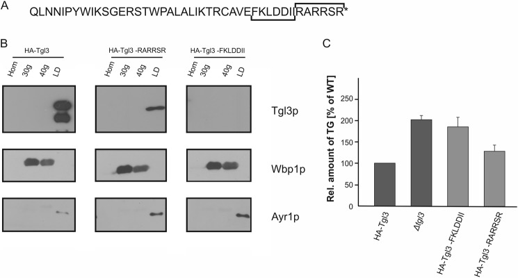 FIGURE 3.