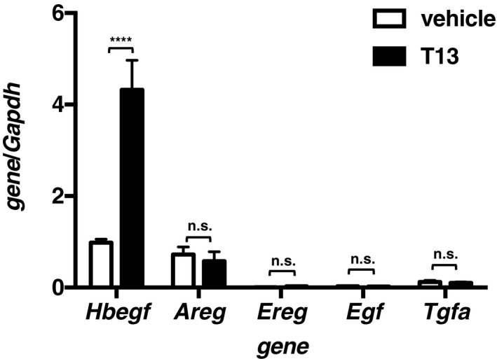 Figure EV3