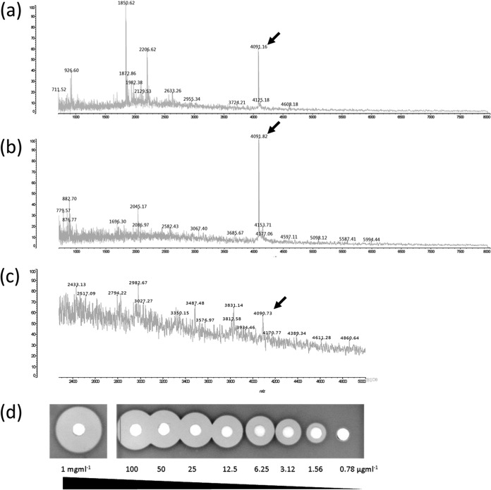 FIG 2