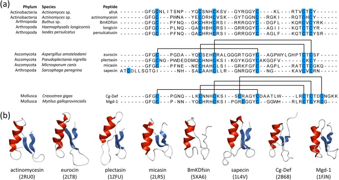 FIG 6