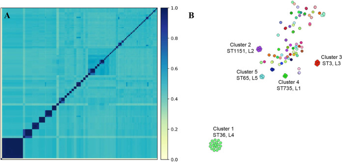 FIG 4