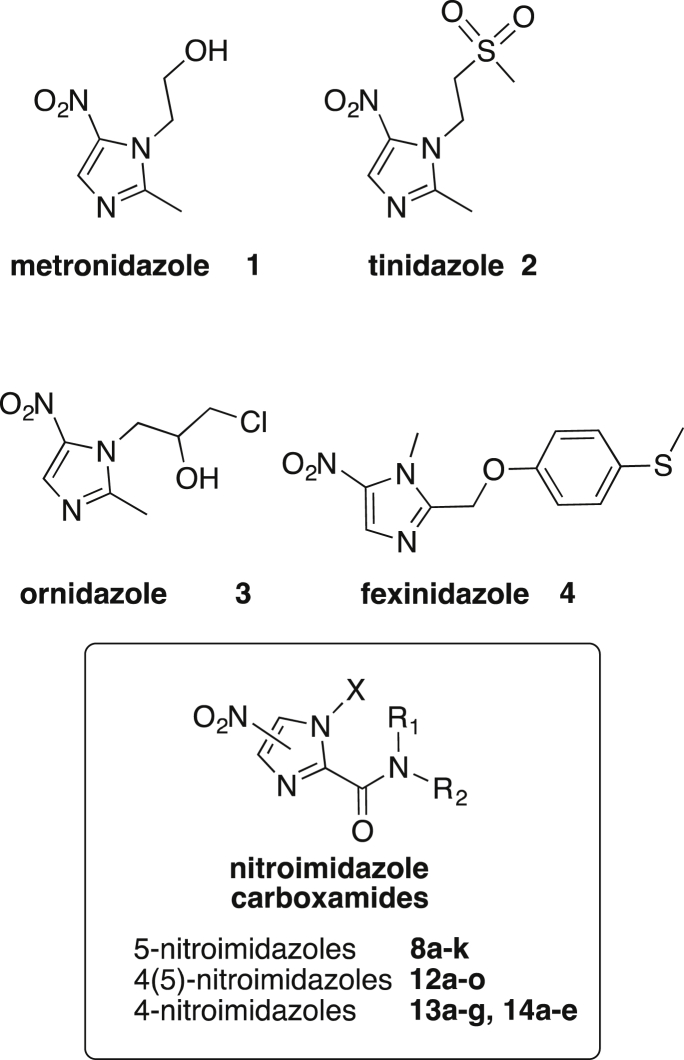 Fig. 1