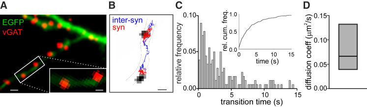 Figure 1