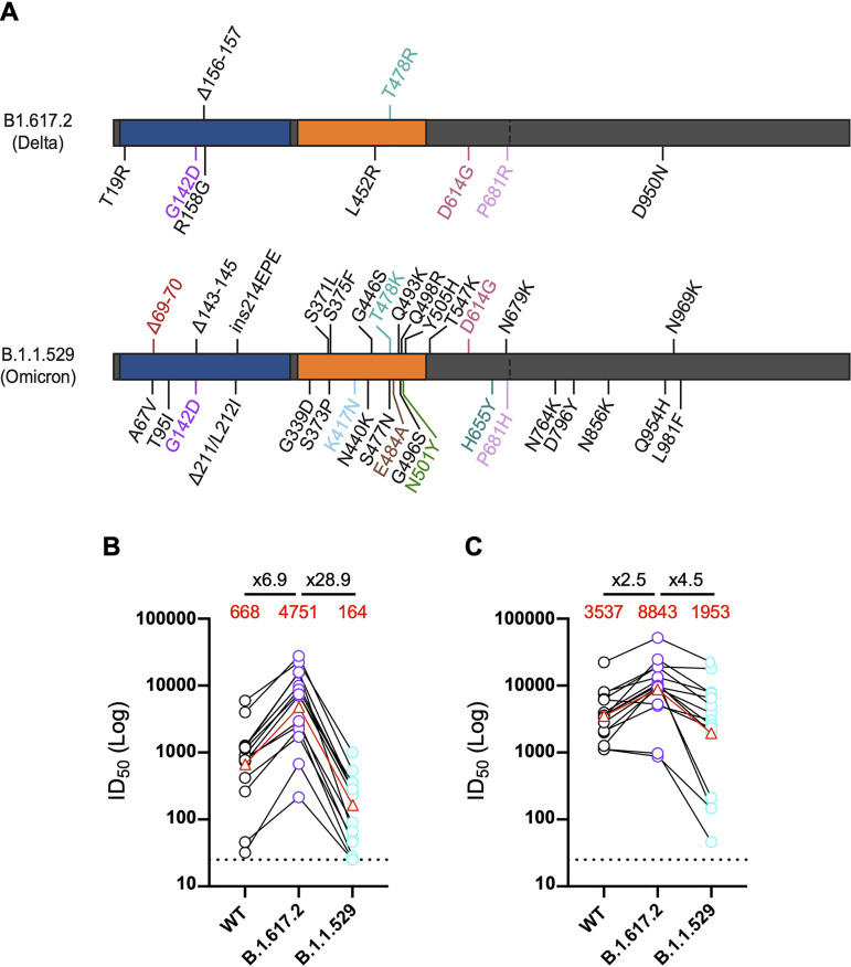 FIG 3