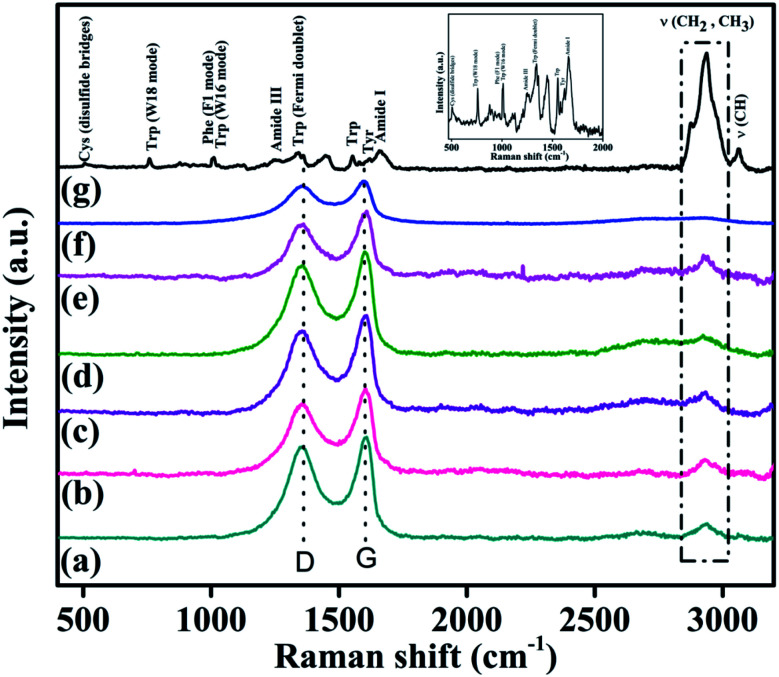 Fig. 10