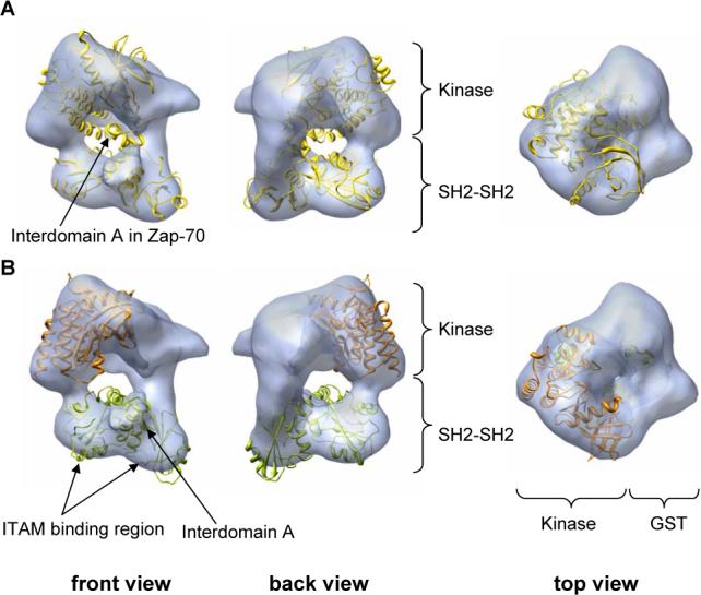 Fig. 3