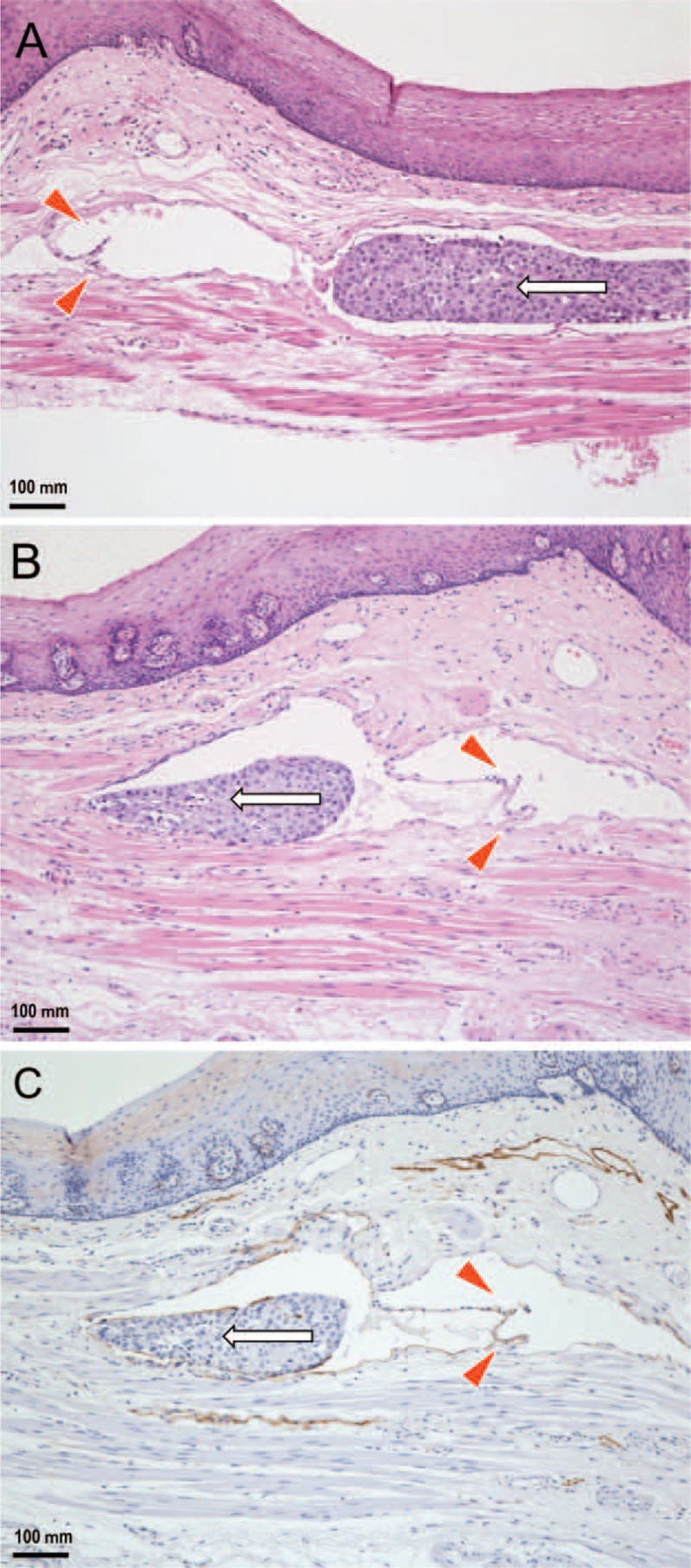 FIGURE 3