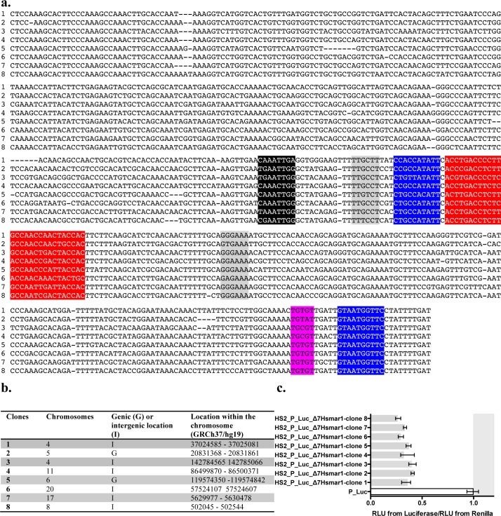 Fig 10