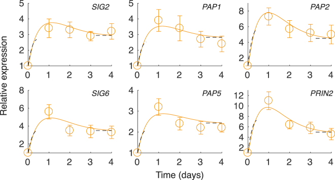 Figure 5