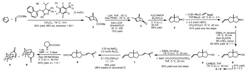 Scheme 2